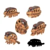 Anime Official Studio Ghibli My Neighbor Totoro Mini Figures Mystery Box Catbus 6cm (2.3") 1 Anime Official Studio Ghibli My Neighbor Totoro Mini Figures Mystery Box Catbus 6cm (2.3")