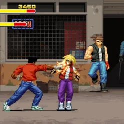 Games Final Vendetta Collector's Edition (PS4)